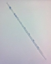 Messpipette Glas 5 ml